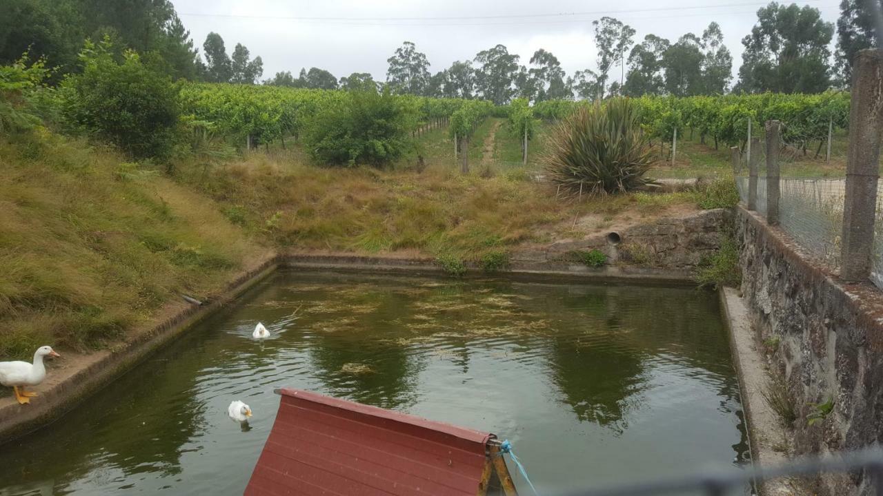 Quinta D'Areda Wine&Pool Experience ξενώνας Fafe Εξωτερικό φωτογραφία