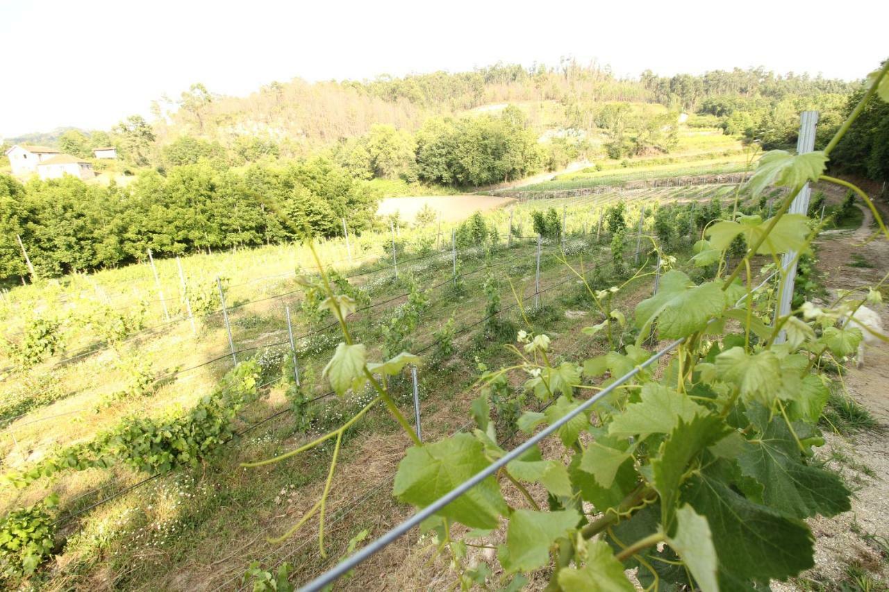 Quinta D'Areda Wine&Pool Experience ξενώνας Fafe Εξωτερικό φωτογραφία